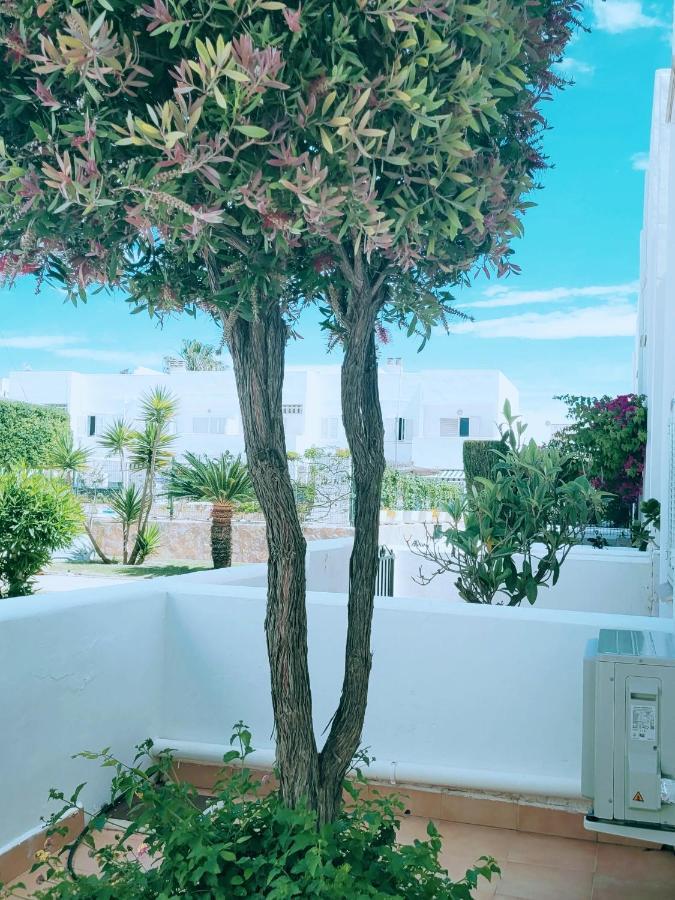 Casa A 400M De Playa, 3 Habitaciones, 2 Banos Y Jardin L'Île-Rousse Dış mekan fotoğraf